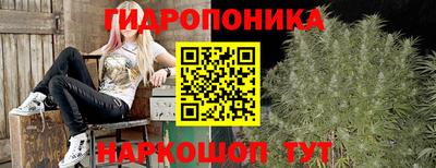 ГАЛЛЮЦИНОГЕННЫЕ ГРИБЫ Боровичи