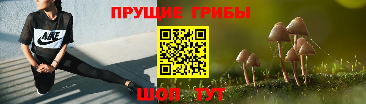 Псилоцибиновые грибы мицелий Пыть-Ях